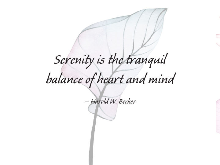 Serenity is alive within us when we stop inner conflict.  