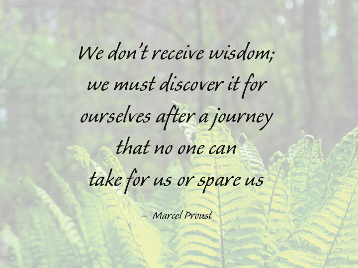 We don't receive wisdom; we must discover it for ourselves after a journey that no one can take for us or spare us - Marcel Proust