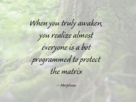 When you truly awaken, you realize almost everyone is a bot programmed to protect the matrix - Morpheus