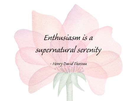 Enthusiasm is a supernatural serenity -    Henry David Thoreau