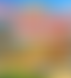 奈良の仏像と日本の宗教観をやさしく解説〜大仏・鹿・寺と神社・死後の考え方まで〜