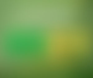 Você ainda não tem a camiseta Participa Floripa?