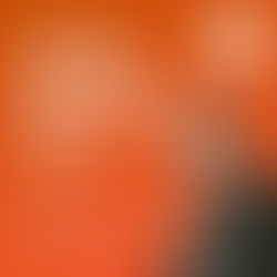 Centro de Convenções é pauta fixa no Conselho de Desenvolvimento do Norte da Ilha