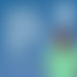 PRESIDENTE ATUALIZA AS ESCOLHAS DE PROJETOS