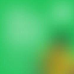 Política Participativa é Pauta no Conselho de Desenvolvimento do Sul