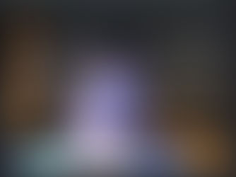 Presidente do CODESUL Rodrigo Pimenta na 51ª reunião do Conselho do Leste da Ilha