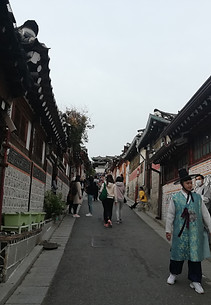 IMG_20191023_150600.jpg