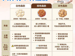原来脂肪不只一种!人体有3种脂肪