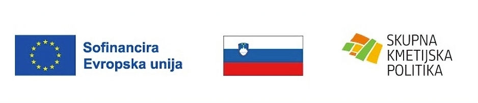 logo_edited.jpg