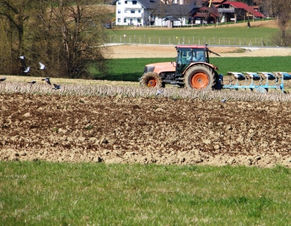 Vedno zelo aktualen posvet o dopolnilnih dejavnostih na kmetiji (povezava na posnetek)