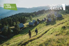 I. IZOBRAŽEVALNA DELAVNICA NA TEMO ZELENE SHEME V 2026