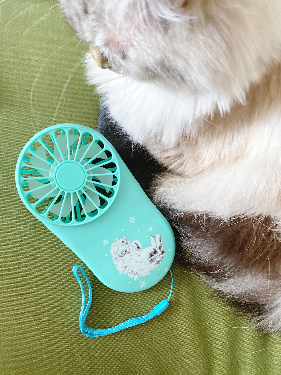 縮圖：派對動物手提風扇