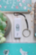 縮圖：派對動物Mermory stick (USB)