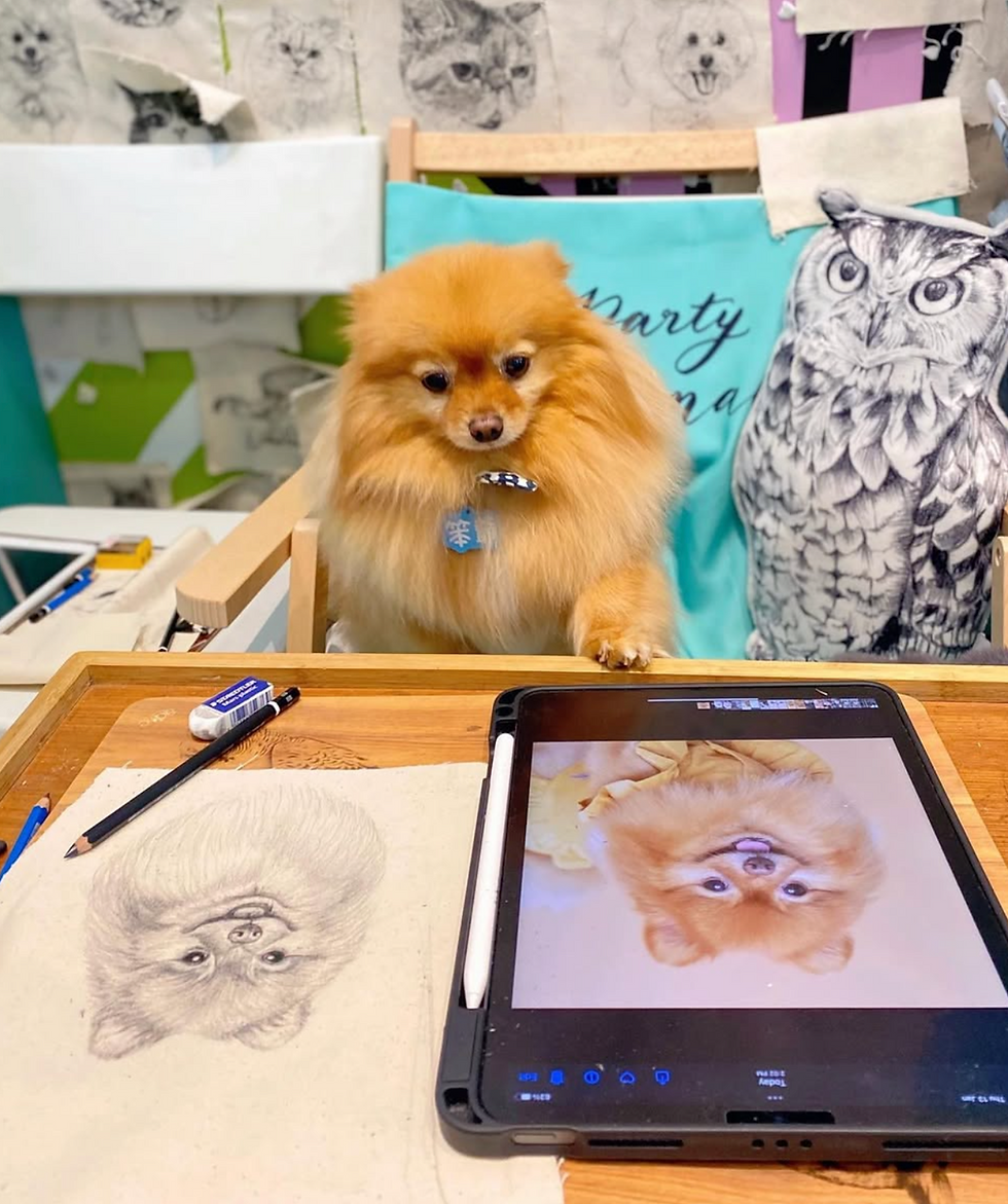 縮圖：黑白動物頭像素描班 - 5小時課程