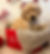 Tezza-5130_edited.jpg