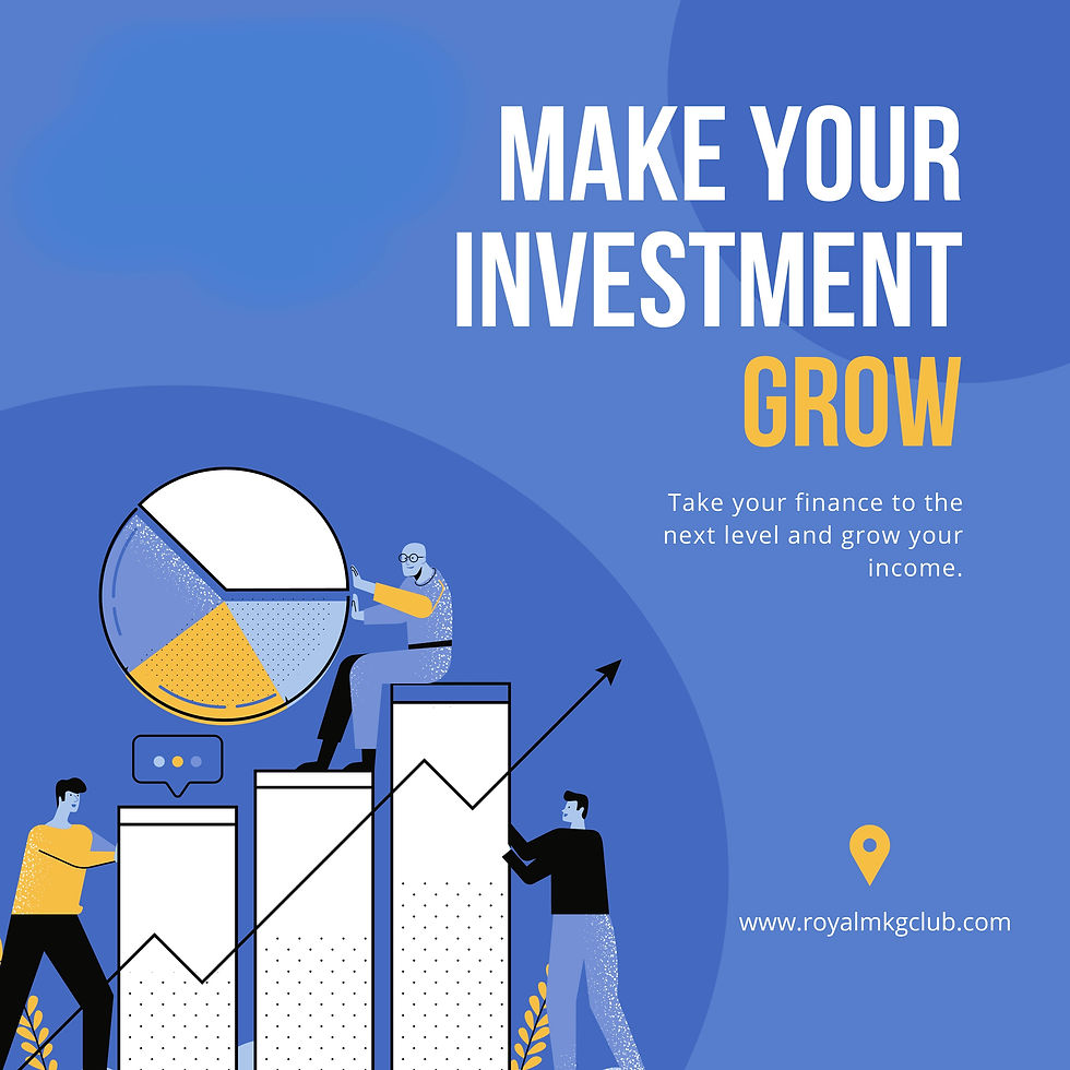 Investor Financial Strategy & Growth Consulting