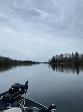 IMG_1035.jpeg