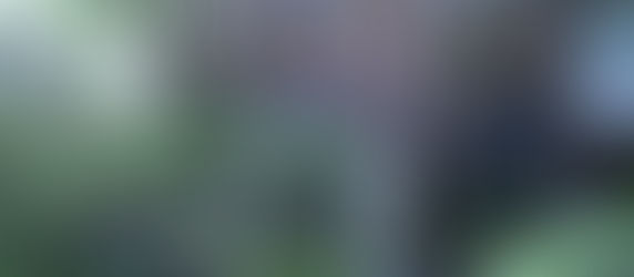 此君亭と禅 | 此君亭前日譚 op.4