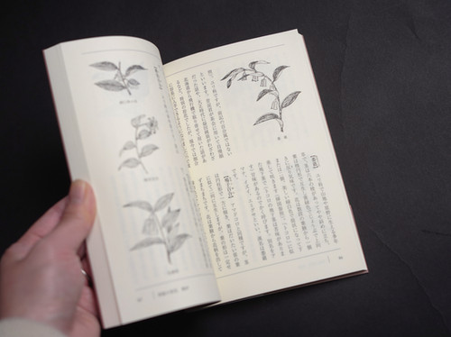 書籍 | 『茶室の花 春秋』 | 京きもの 蓮佳 -renca-