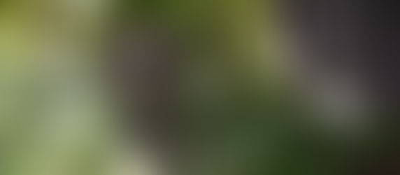 人間・祥雲斎 | 此君亭前日譚 op.5