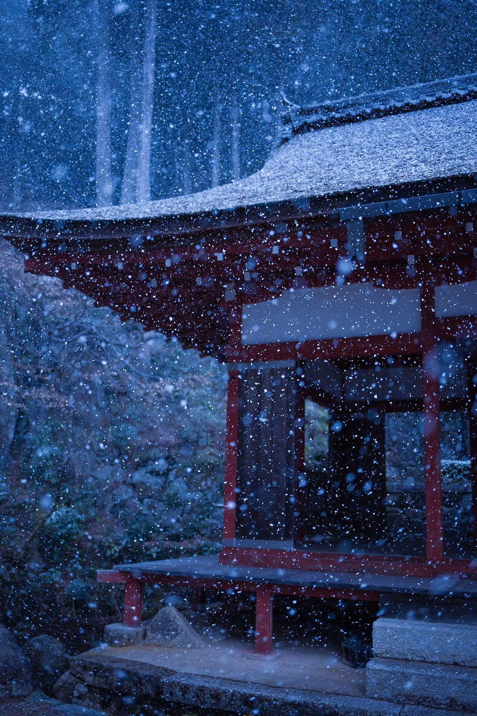 © kai hoshino