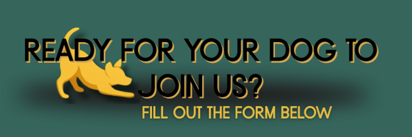 Short Haircut Photo Banner Email Header (1).png