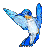 COLIBRI.gif
