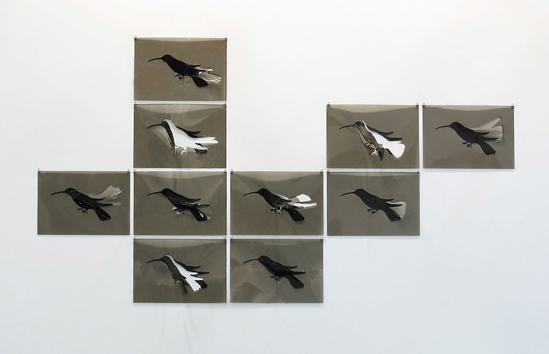 dieci_esercizi_di_aderenza_(il_colibriÌ