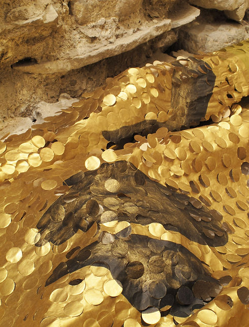 Crisomallo 13-2 hr.jpg