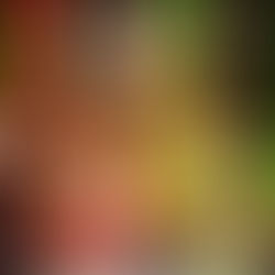 Hardcore Holidays 2018 Event Results