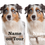 Miniaturbild: Hundeaufkleber Australian Shepherd 4