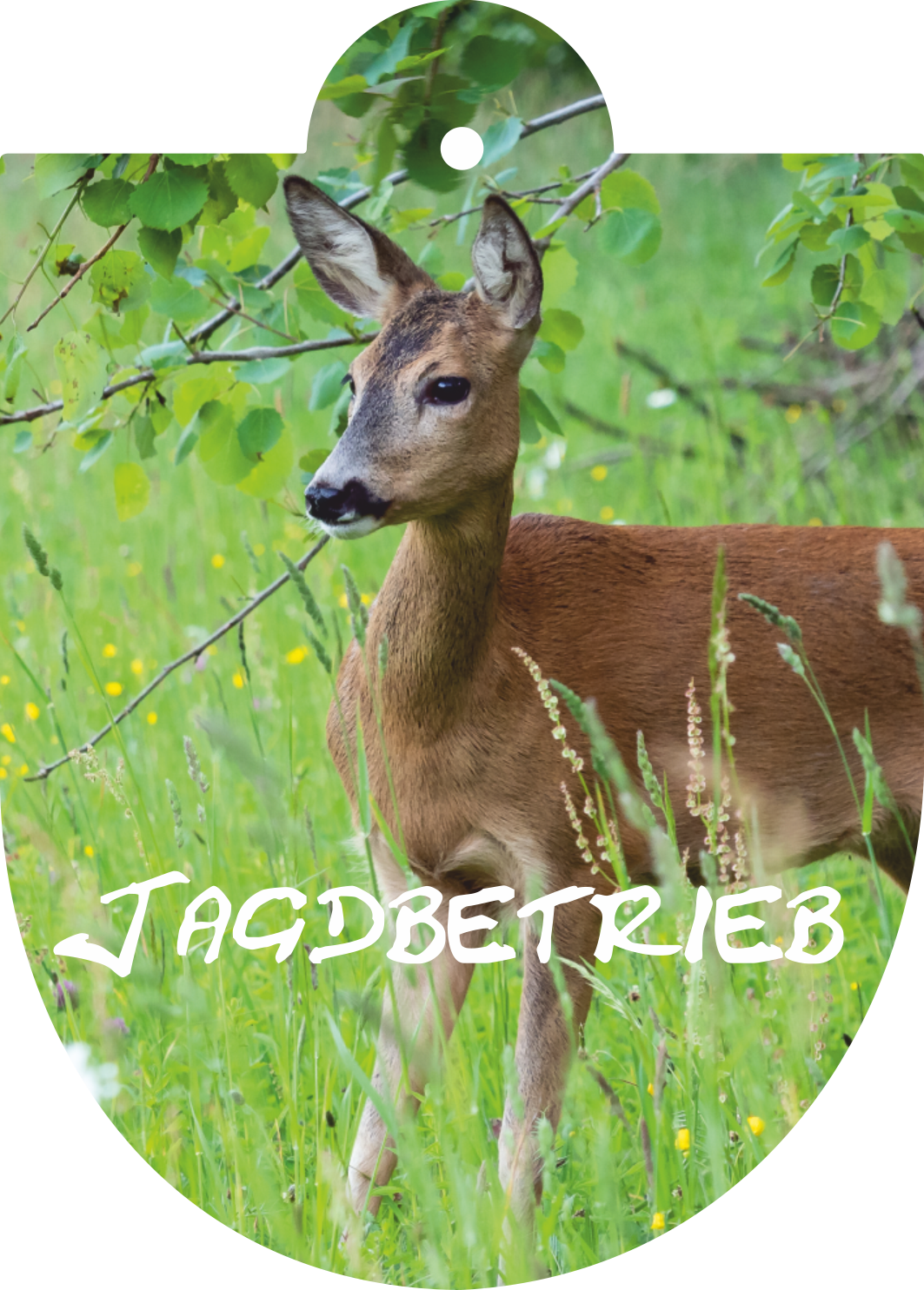 Saugnapfschild Reh