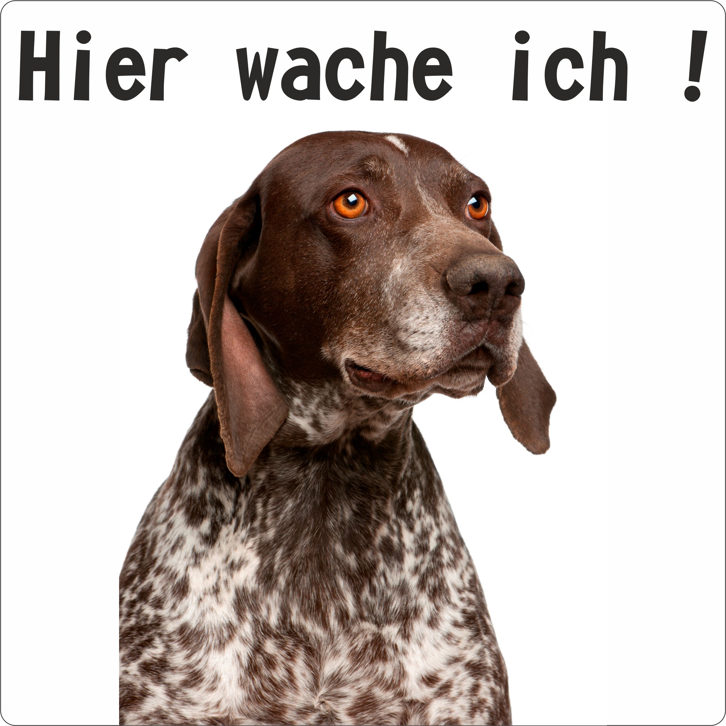 Hunde Schild/Aufkleber Hier wache ich! Deutsch Kurzhaar