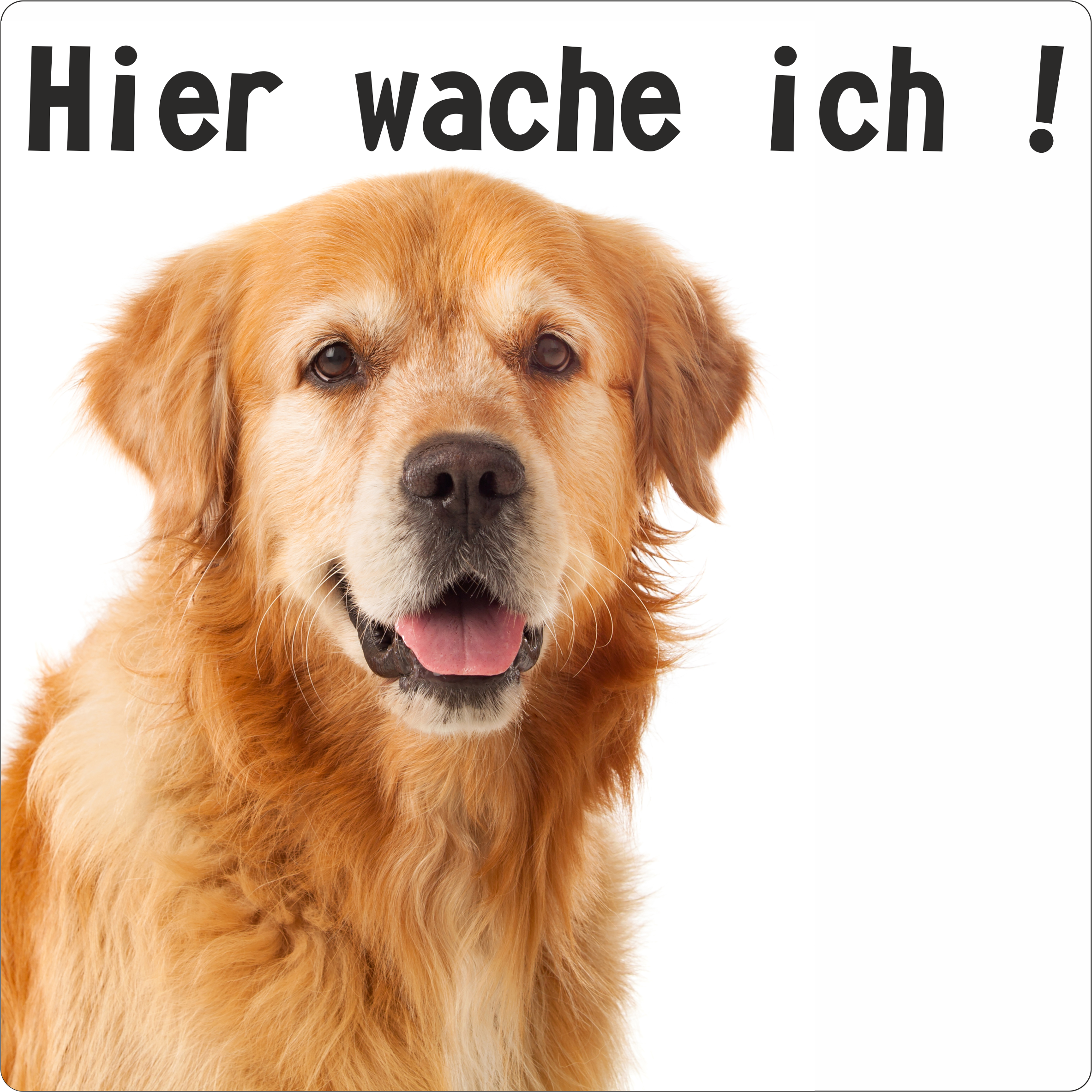 Hunde Schild/Aufkleber Hier wache ich! Golden Retriever 3
