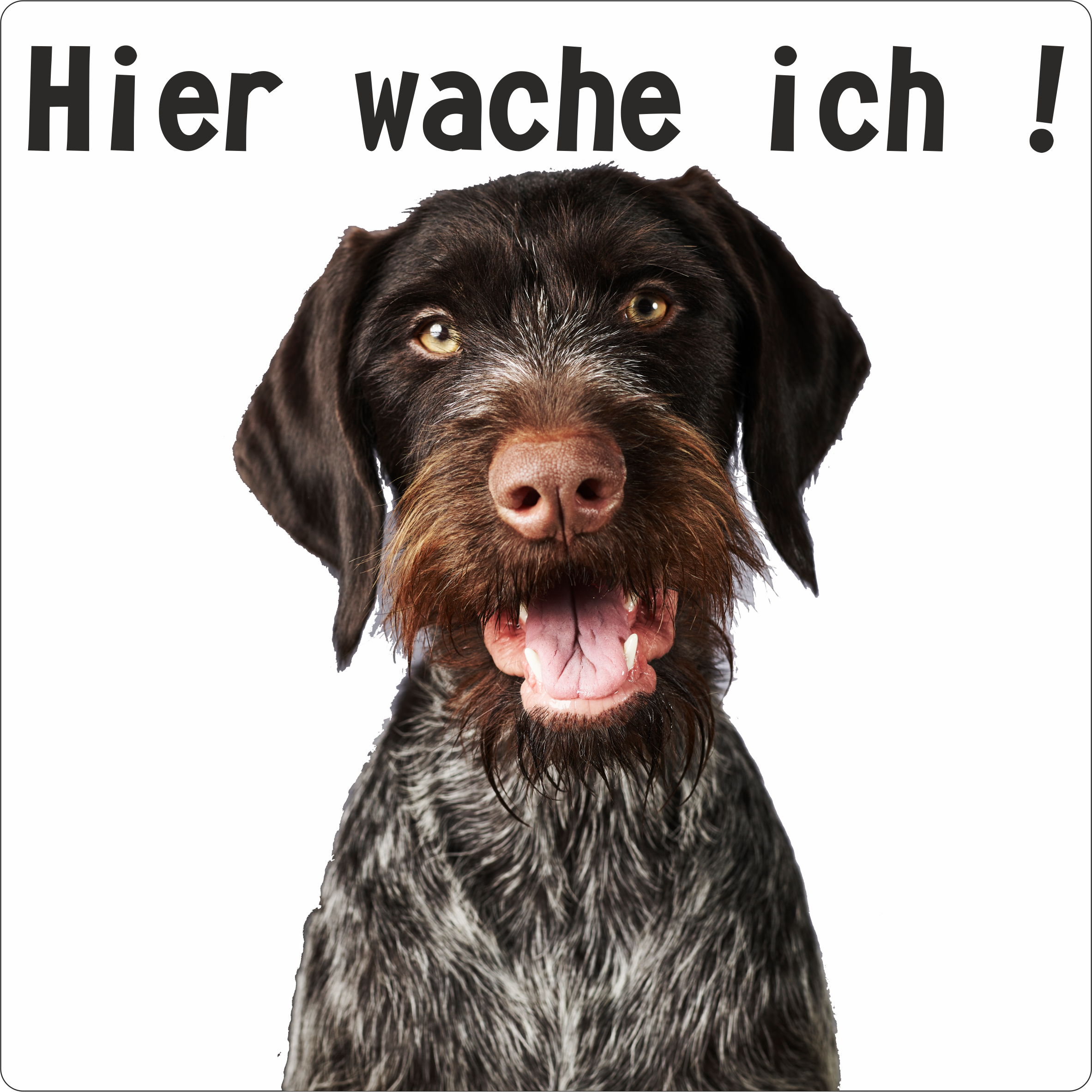 Hunde Schild/Aufkleber Hier wache ich! Deutsch Drahthaar 3