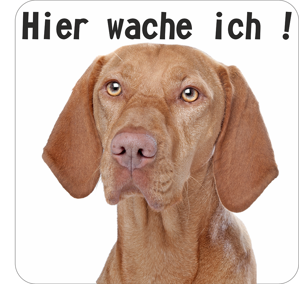 Targa In Metallo 30x20 Cm Resistente Alle Intemperie - Scritta 'Hier Wache Ich!' Con Disegno Beagle, Per Cancello O Giardino