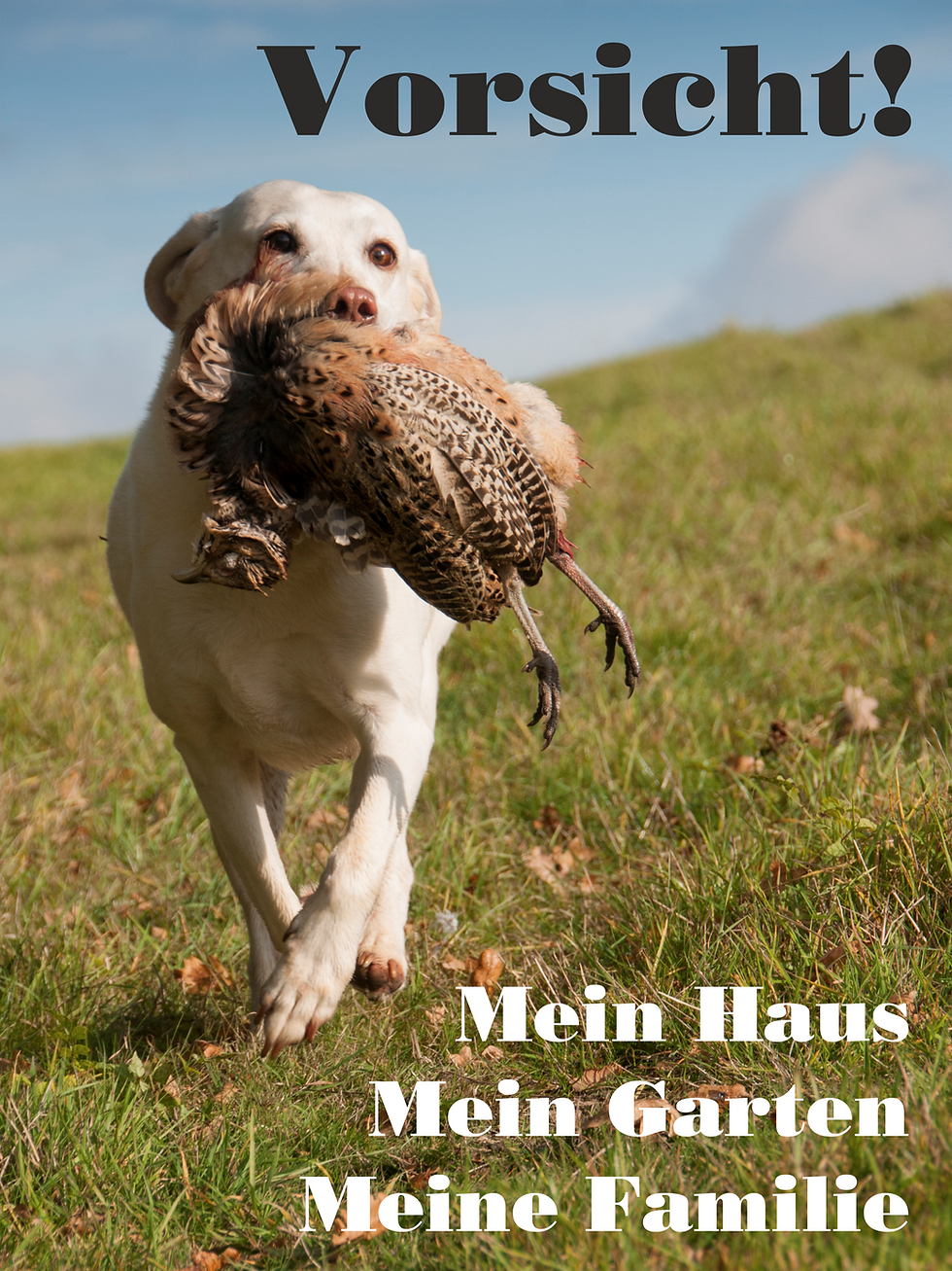 Miniaturbild: Hundeschild verschiedene Texte Labrador Retriever 2