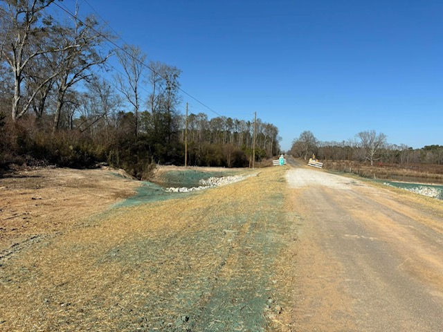 IMG_7773