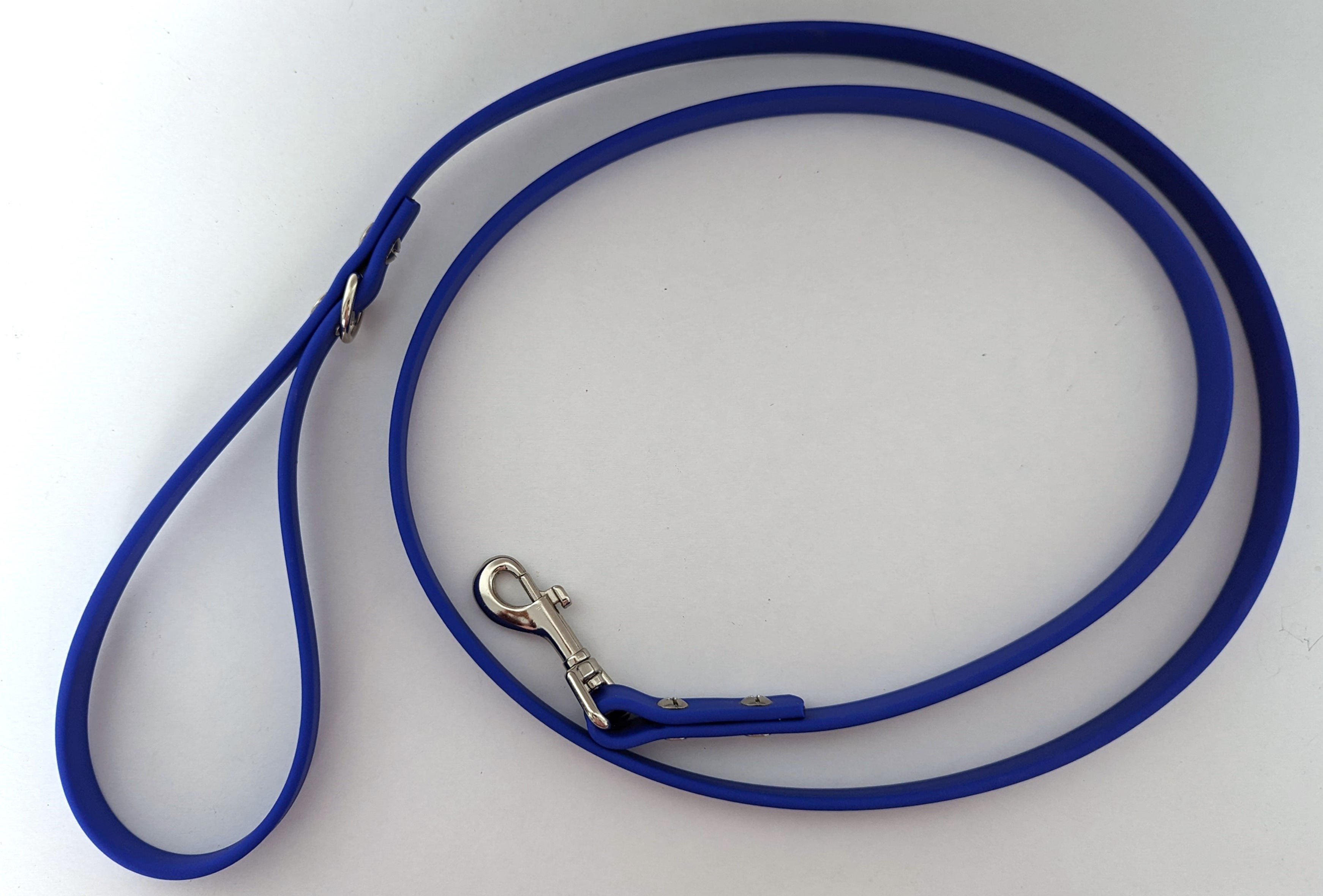 Laisse (5 pieds) - Bioblue