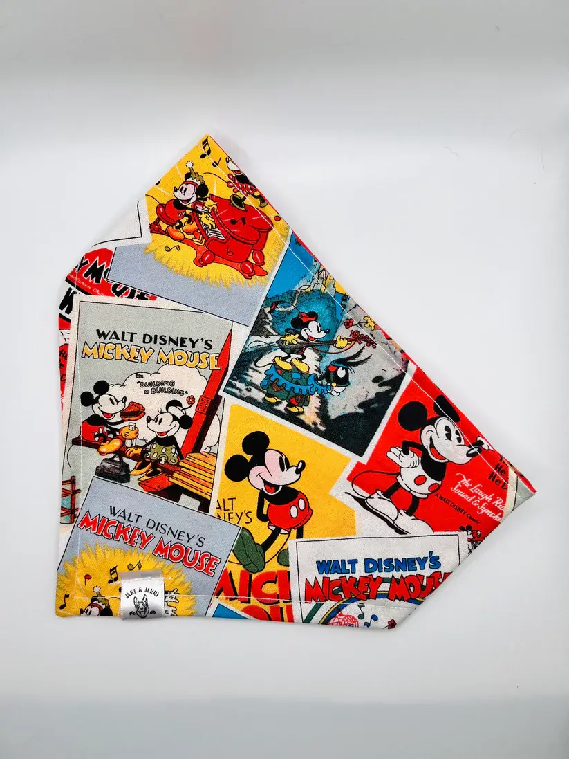 Hey Mickey - Jake&Jerry