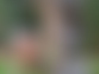 In Conversation with Lynden Nicholls