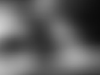 Rehearsal Gallery | SPARK