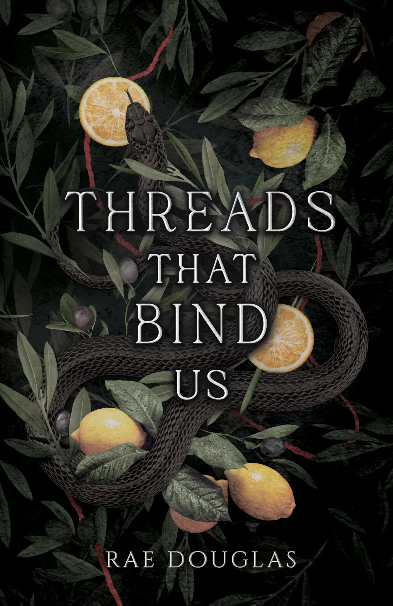Threads That Bind Us by Rae Douglas BOOK 1