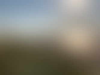 De Liefde laten groeien