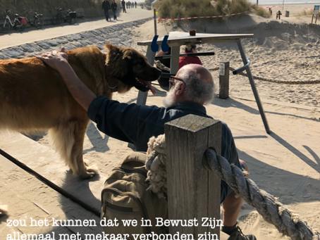 Bewust Zijn, het wezen van Liefde