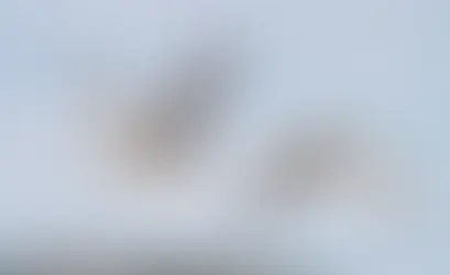 Crooked Creek 2025 HOA Letter