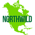 Northwild Travel Logo