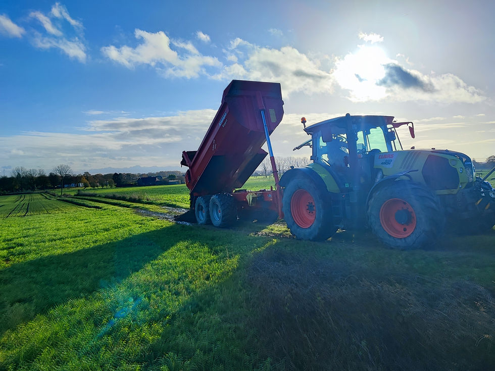 Transportdienstleistungen