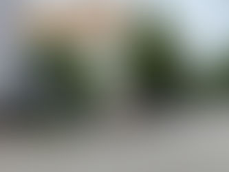 FPNA Welcomes Your Questions