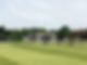 thumbnail_IMG_4545.jpg